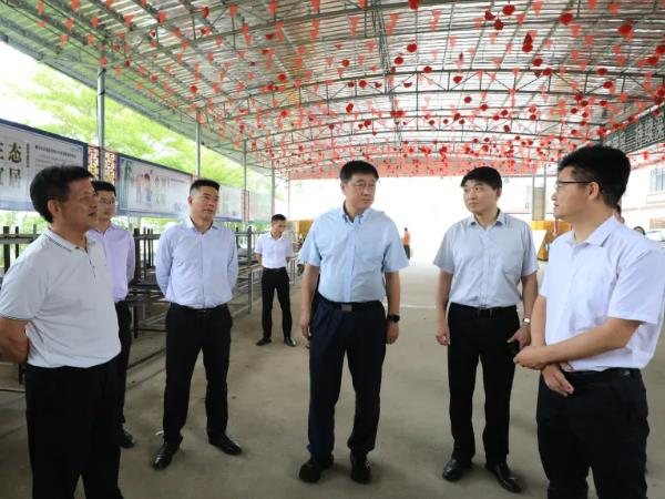 廣東省科技廳領導關注廉江市豐業種植專業合作社的發展